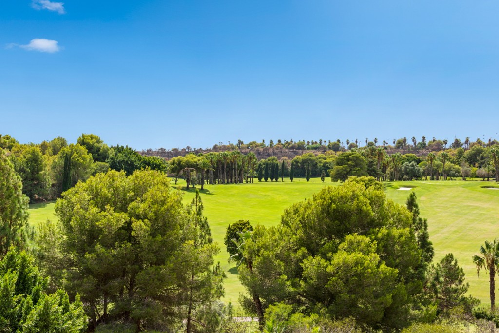 Apartment Campoamor Costa Blanca South Spain