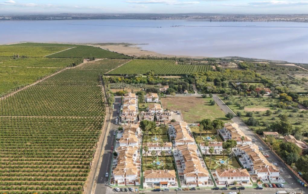 Apartment Torrevieja Costa Blanca South Spain